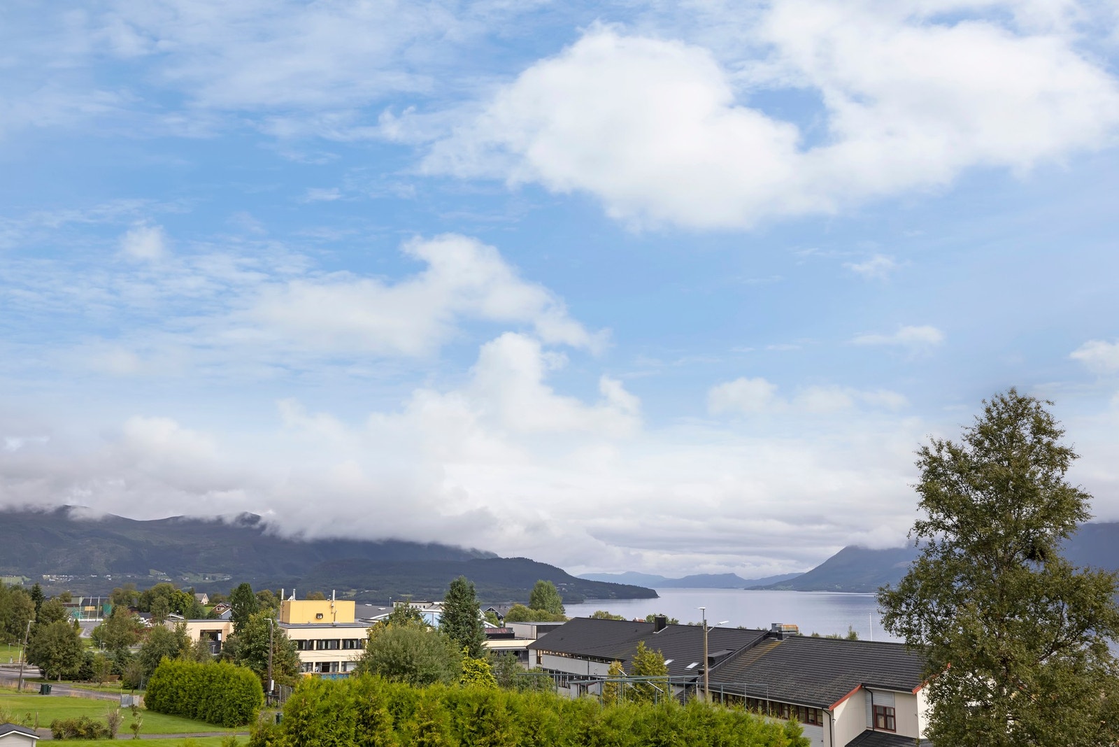 Utsikt. Galleribilde