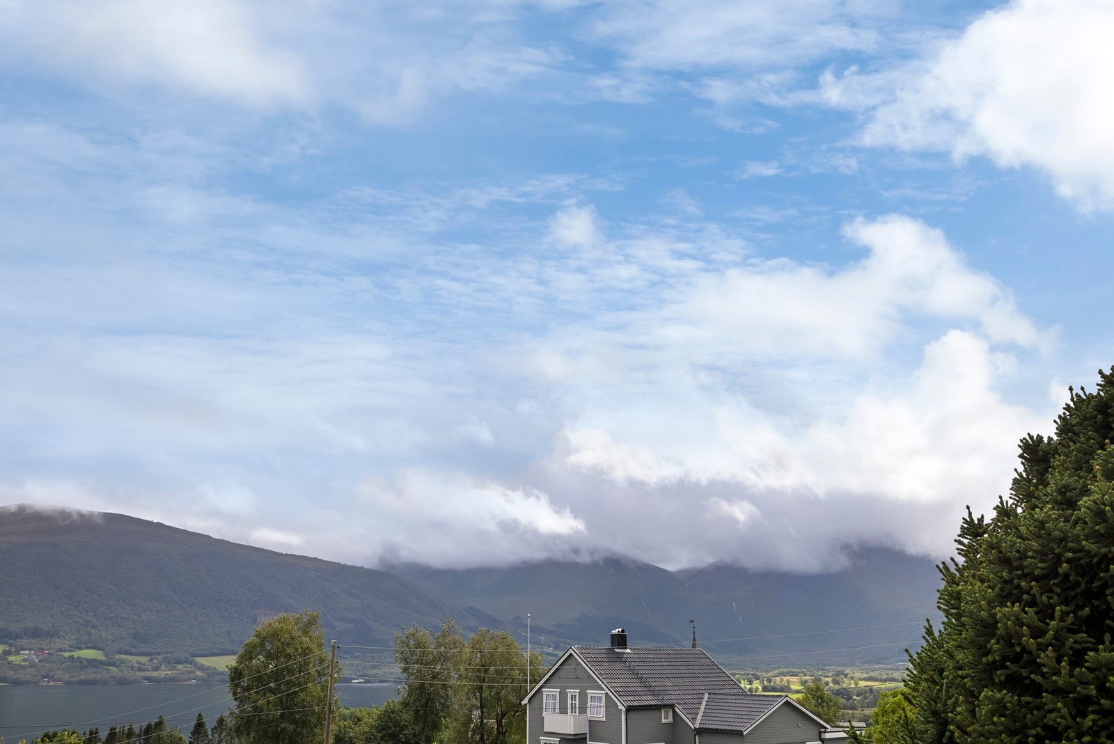 Utsikt. Galleribilde