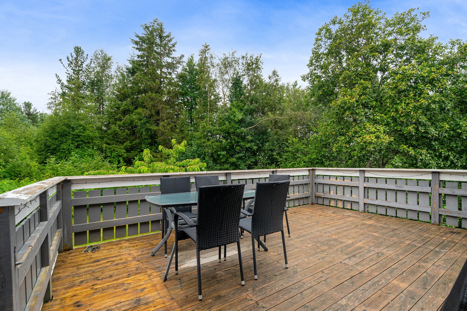 Fin ettermiddag og kveldssol Galleribilde