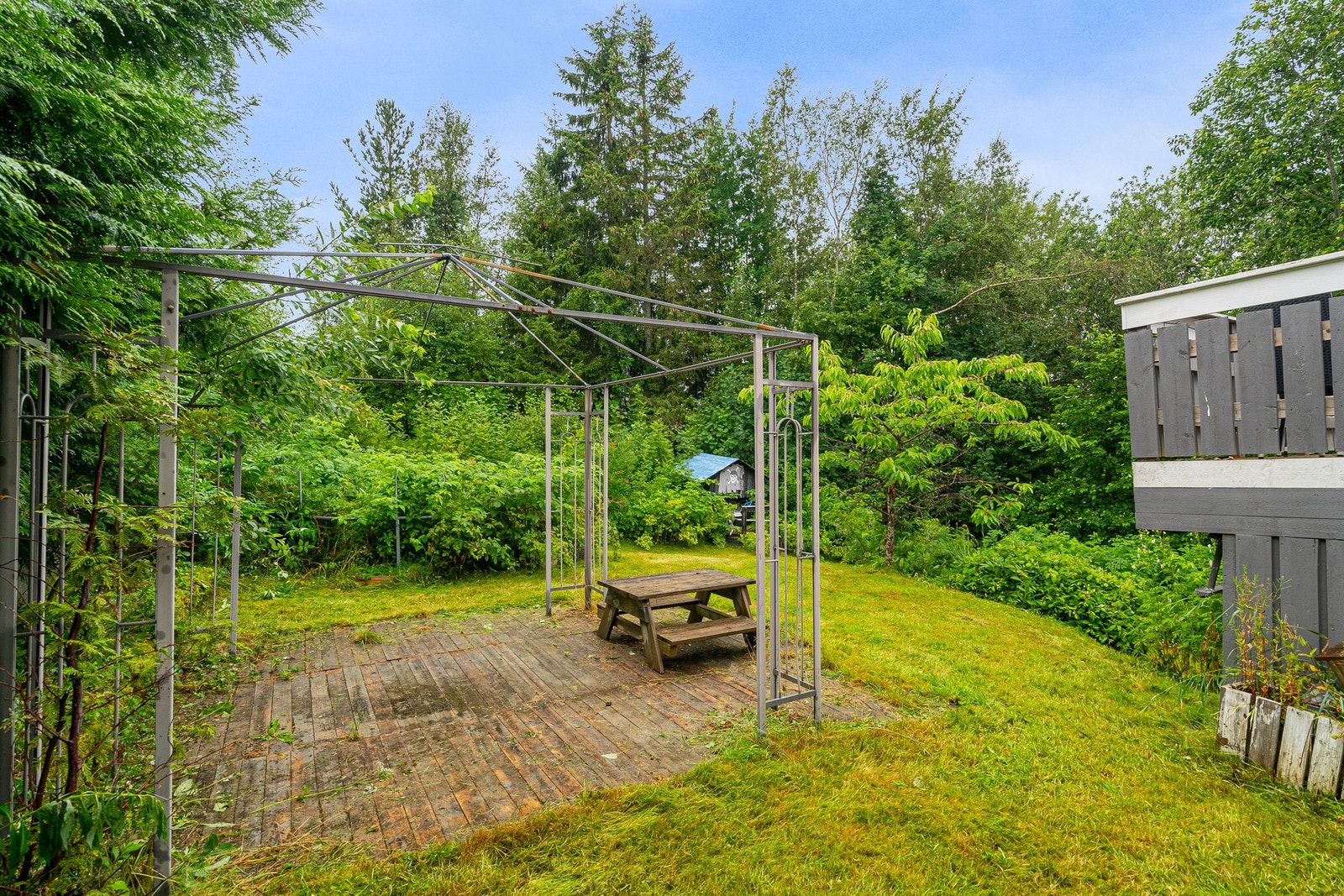 Eiendommen har de siste årene grodd litt igjen da selger bor utenlands Galleribilde