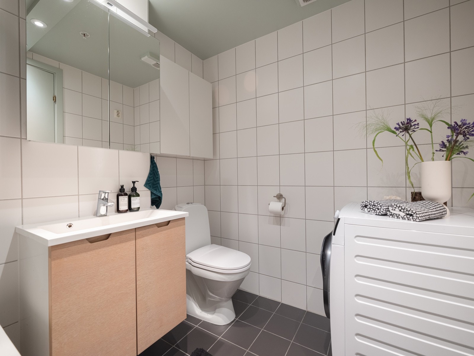 Videre utstyrt med gulvstående toalett og opplegg for vaskemaskin. Galleribilde