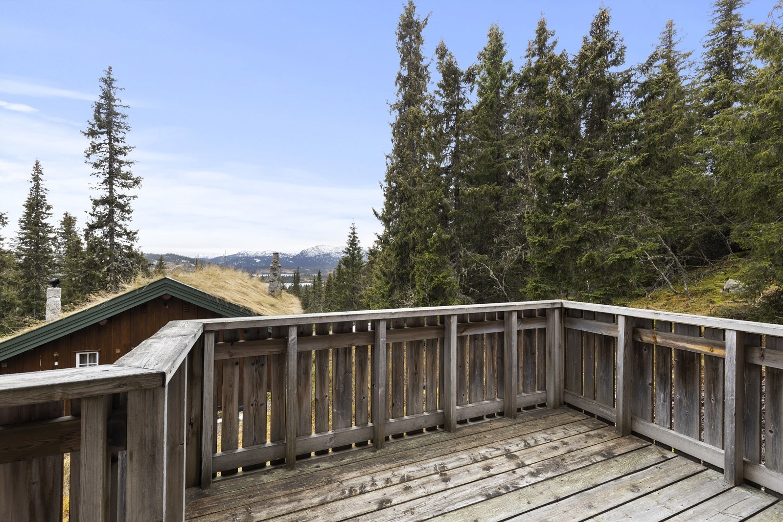 Hytta er omgitt av praktfull natur og flotte helårs turmuligheter. Galleribilde