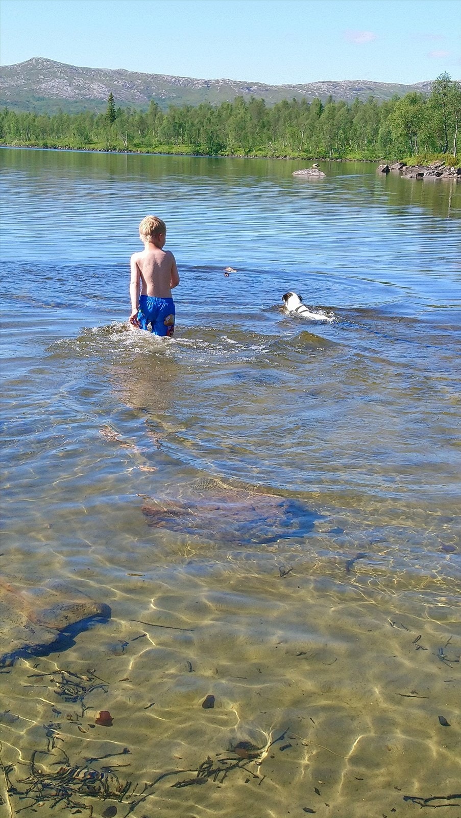 Stemningsbilde fra selger Galleribilde