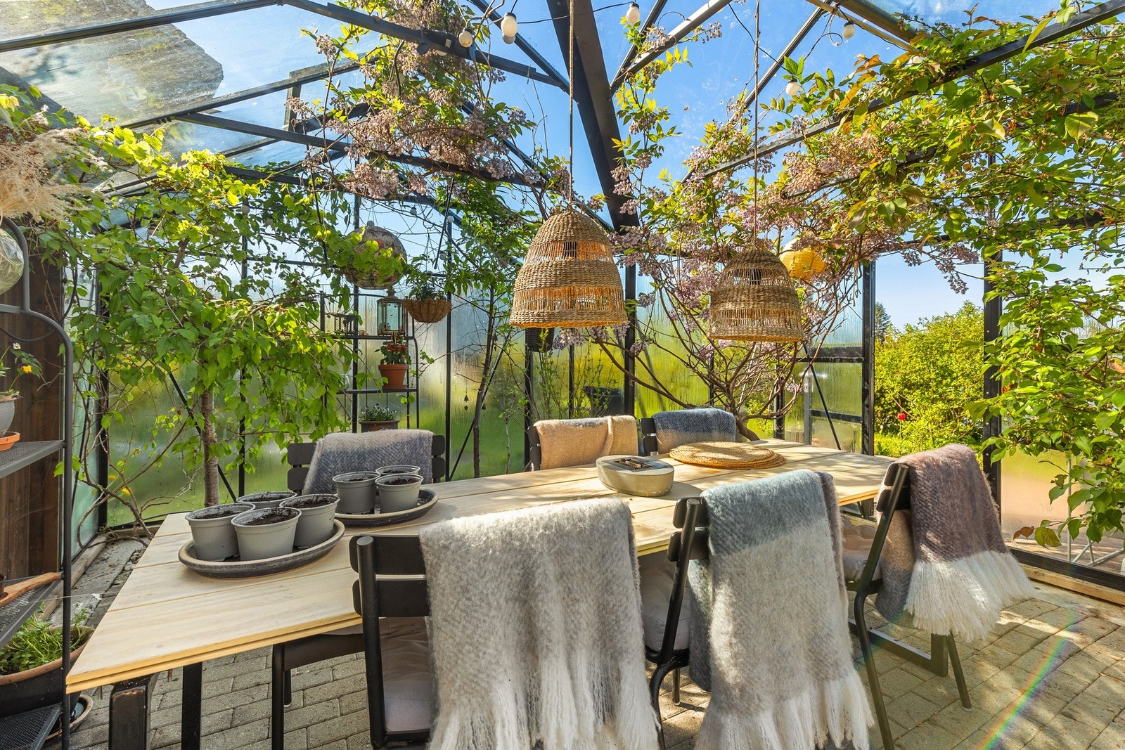 Romslig drivhus som benyttes som ekstra hagestue Galleribilde