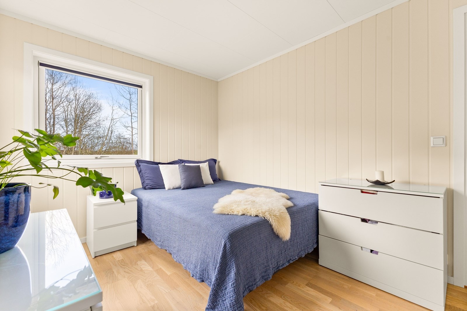 Soverommene er malt opp i lune- og behagelige veggtoner. Galleribilde