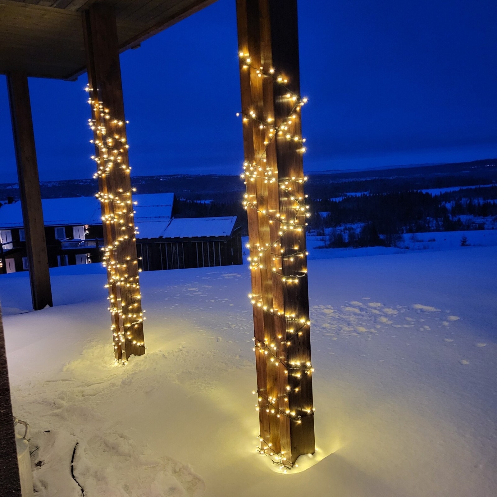 Selgers bilder. Galleribilde