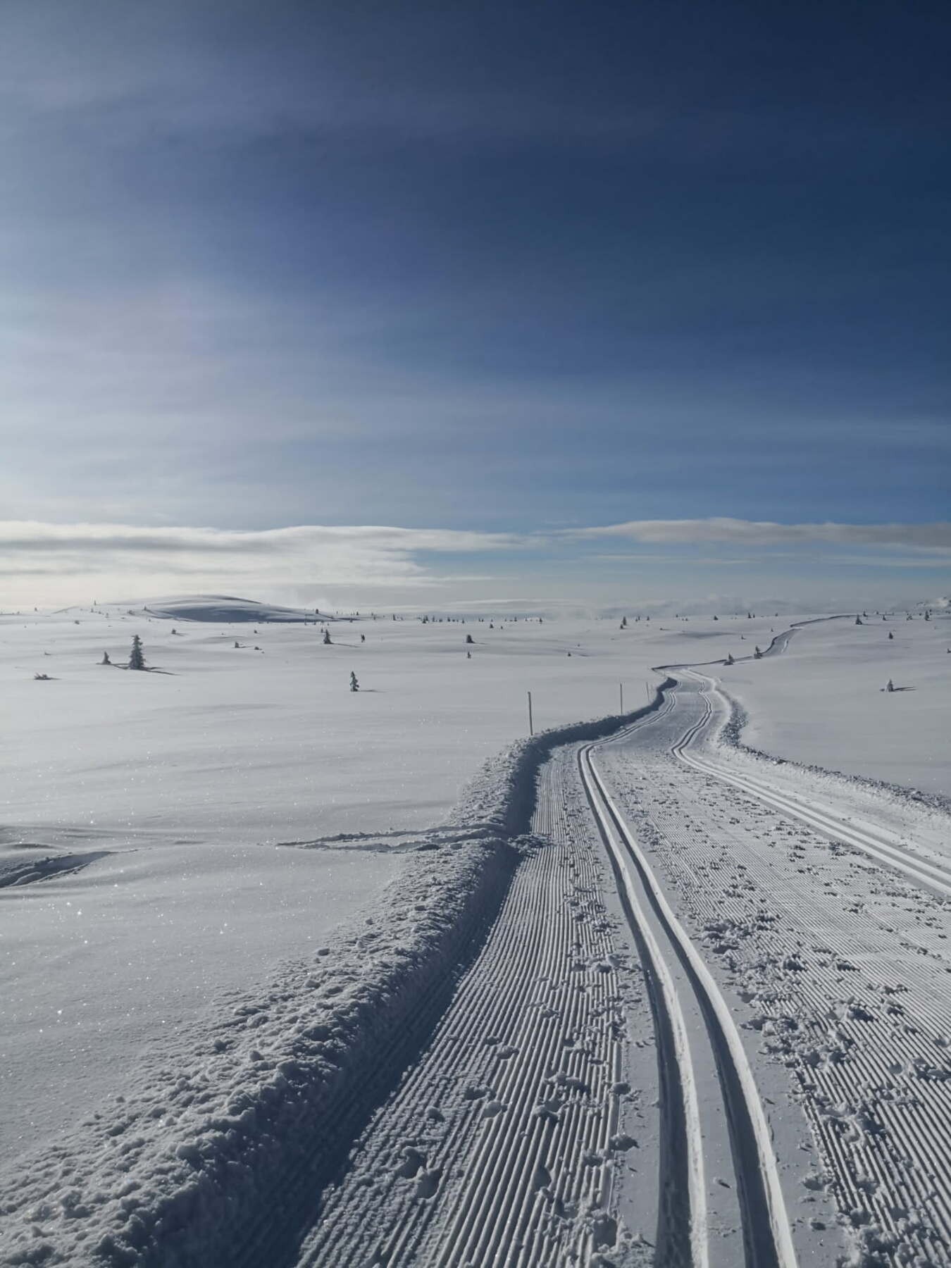 Selgers bilder. Milevis med fantastiske skiløyper. Galleribilde