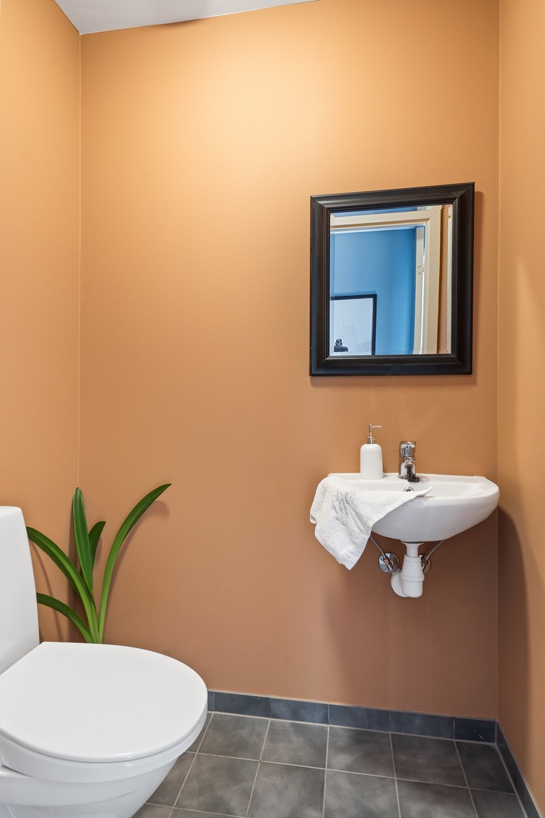 Eget toalettrom/gjestetoalett med adkomst fra hall/mellomgang. Galleribilde