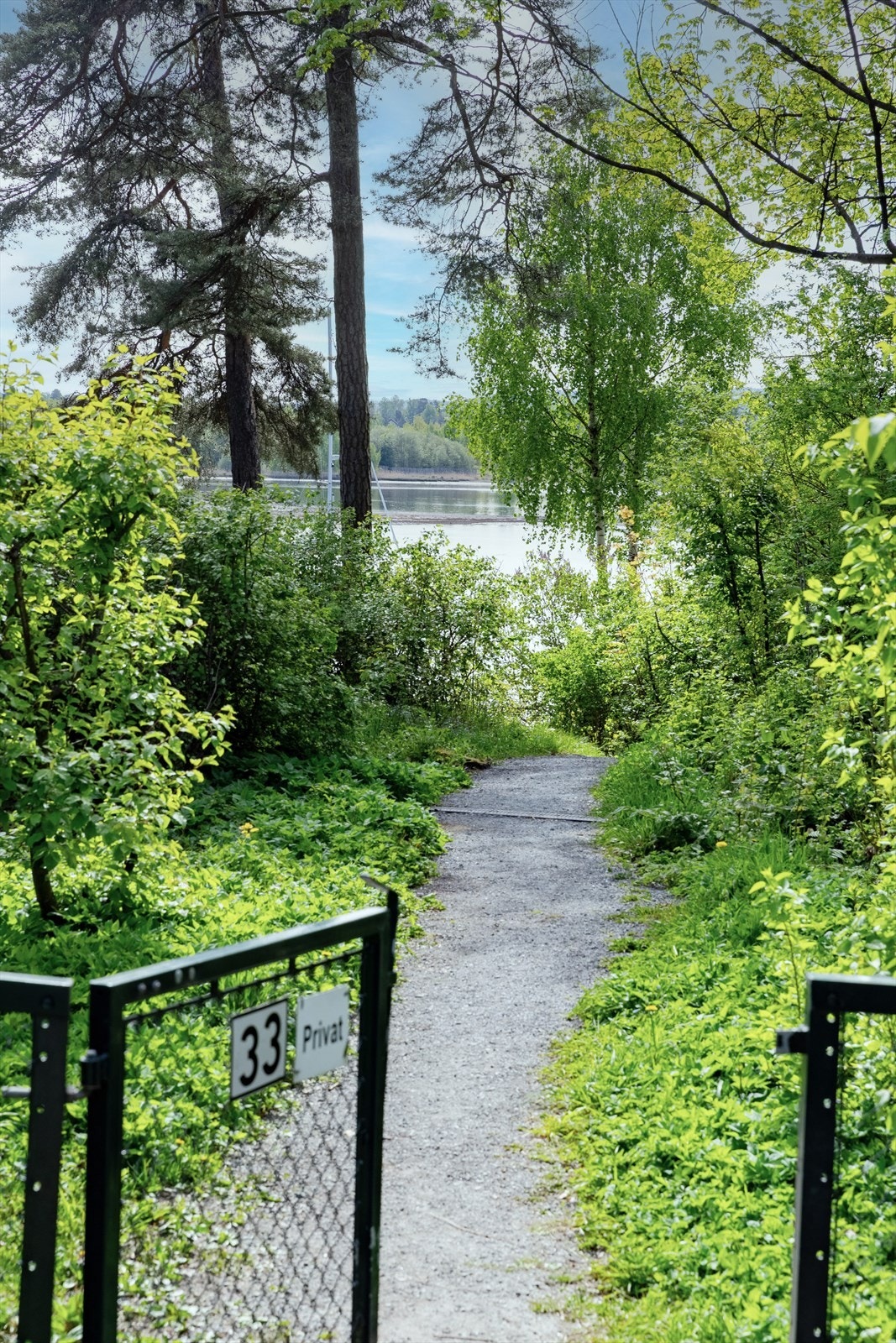 Gangsti til sjøen Galleribilde