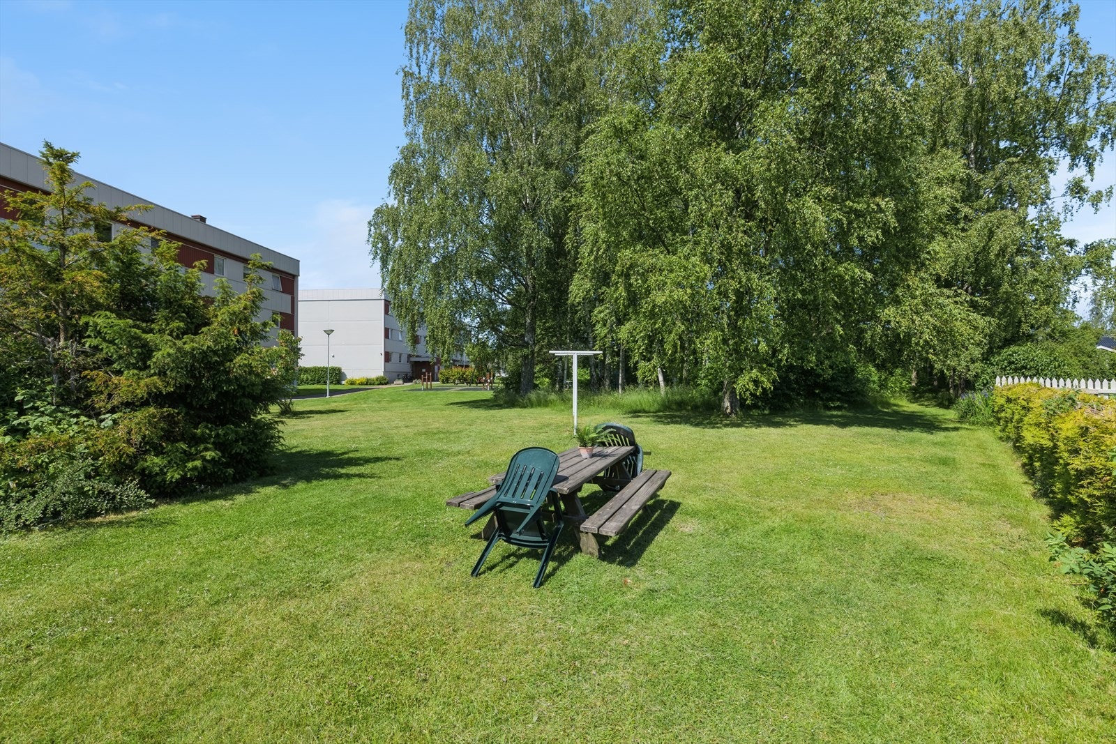 Felles uteplass for kos og grilling. Galleribilde