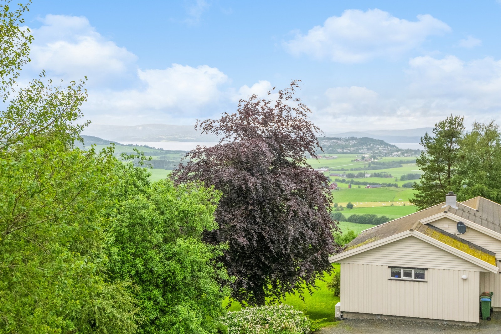 Din nye utsikt? Galleribilde