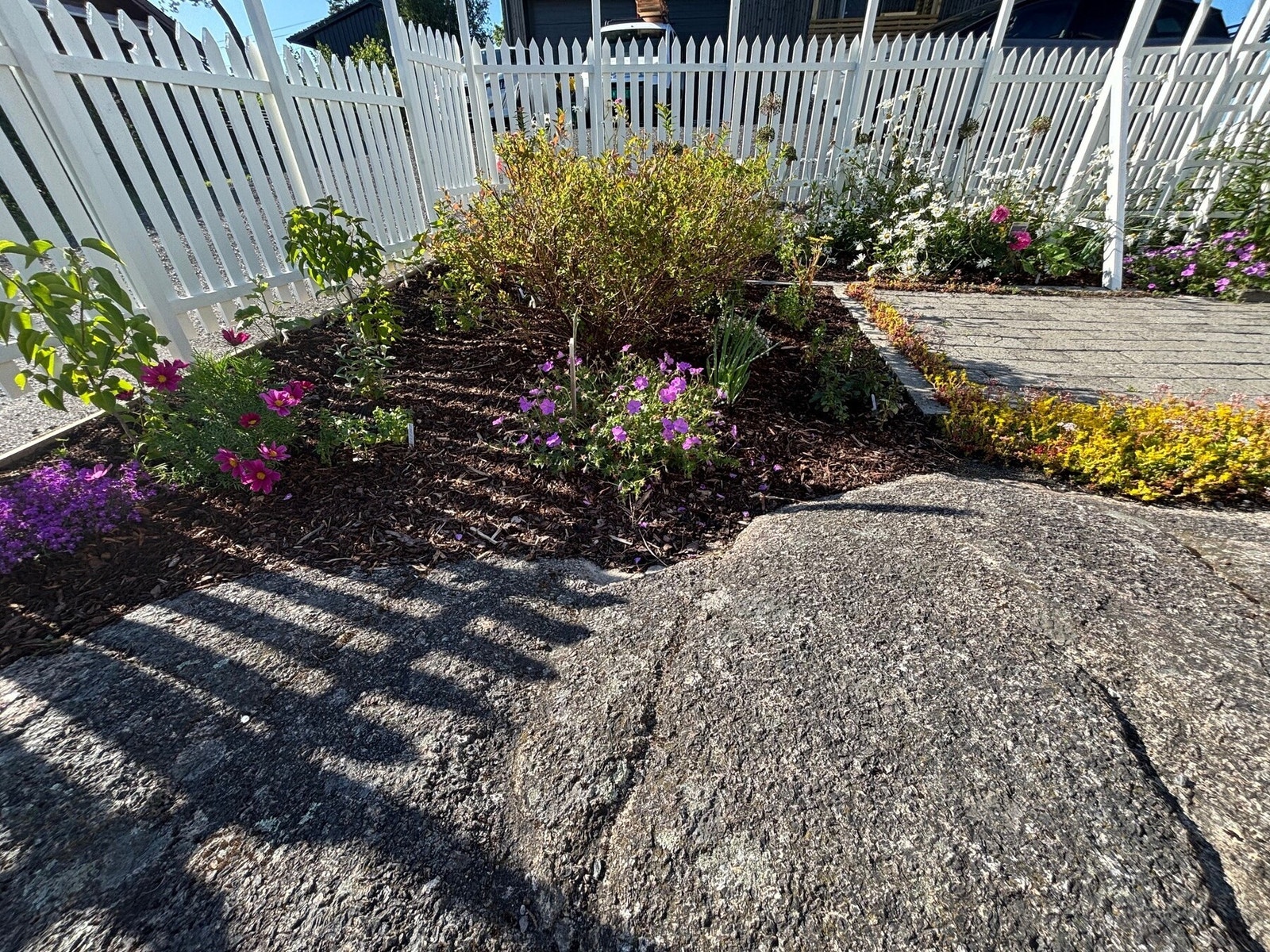 Blomsterbed i sydøsthjørne Galleribilde