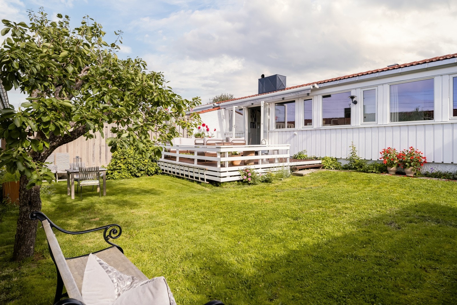 Frodig hage med epletre, bærbusker og plen. Galleribilde