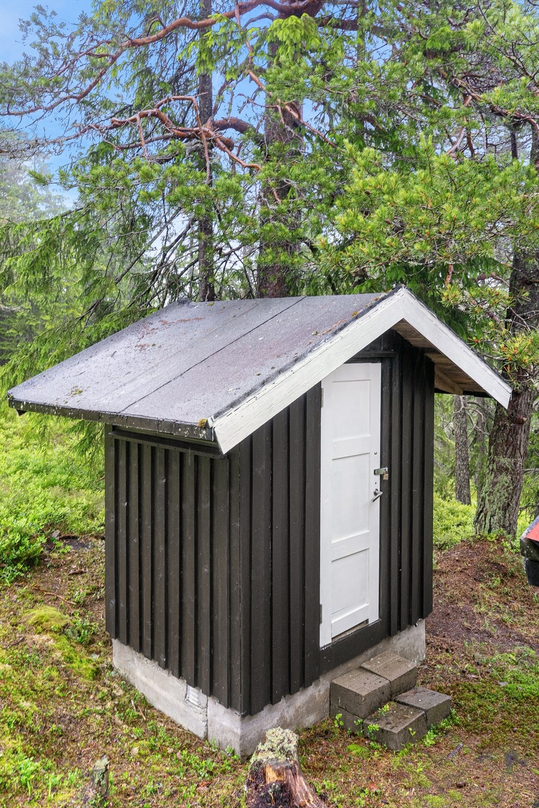 Bod nummer to Galleribilde