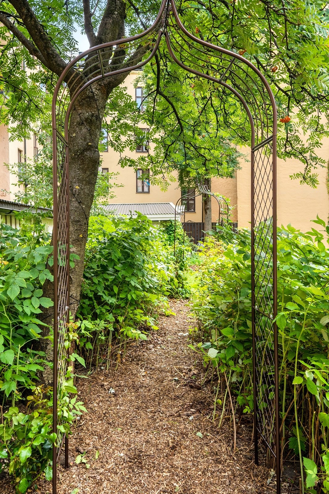 Flott bakgård. Galleribilde