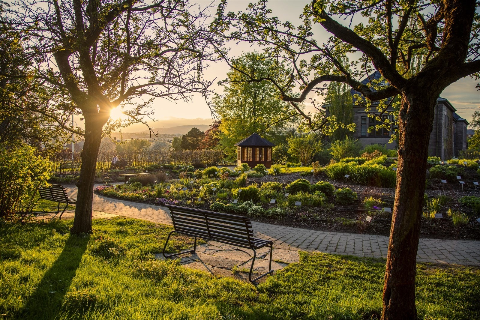 En kort spasertur til Botanisk hage gir stille og avslappende omgivelser. Galleribilde