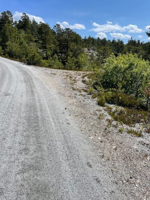 Kjørevei helt frem Galleribilde