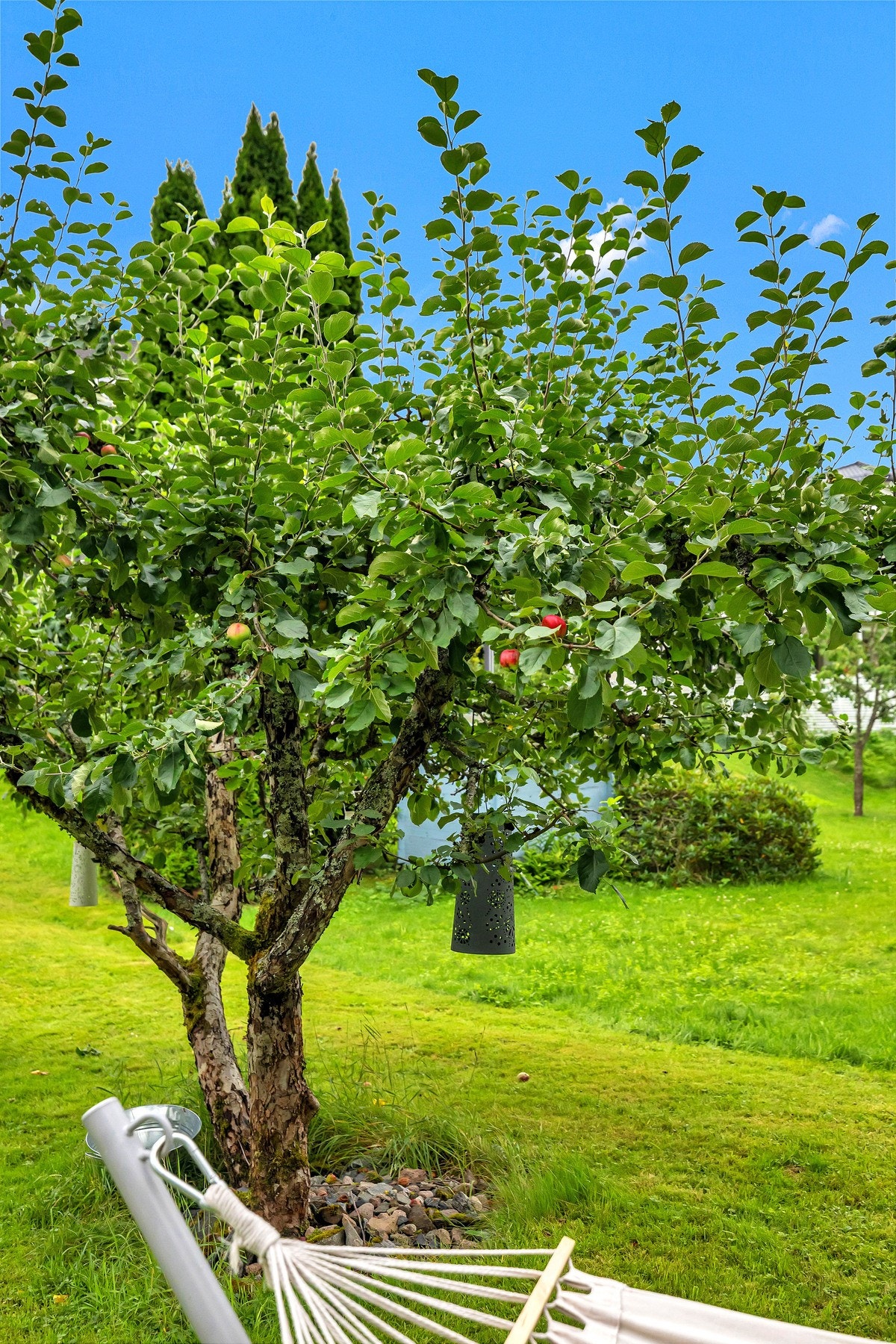 I hagen står et vakkert epletre som setter et grønt og frodig preg på uteområdet Galleribilde