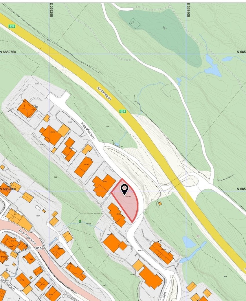 Situasjonskart Galleribilde