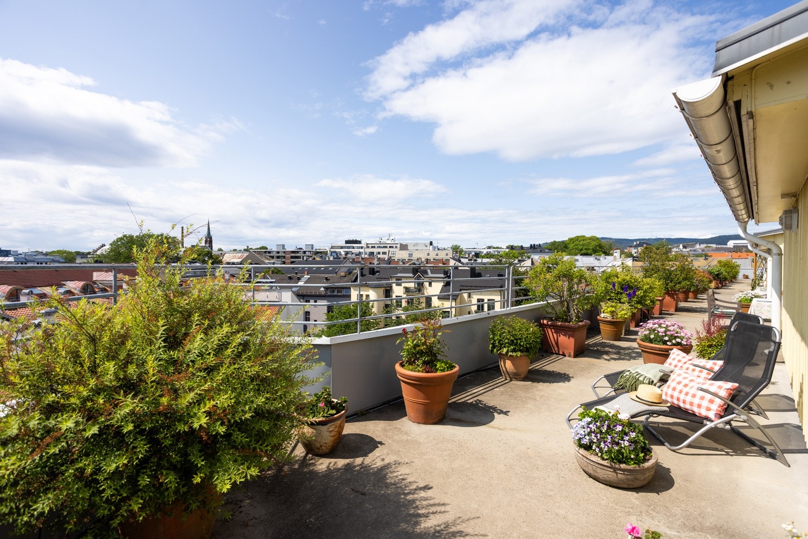 Nydelig felles takterrasse med masse beplantning, sitteplasser, utekjøkken og utsikt! Galleribilde