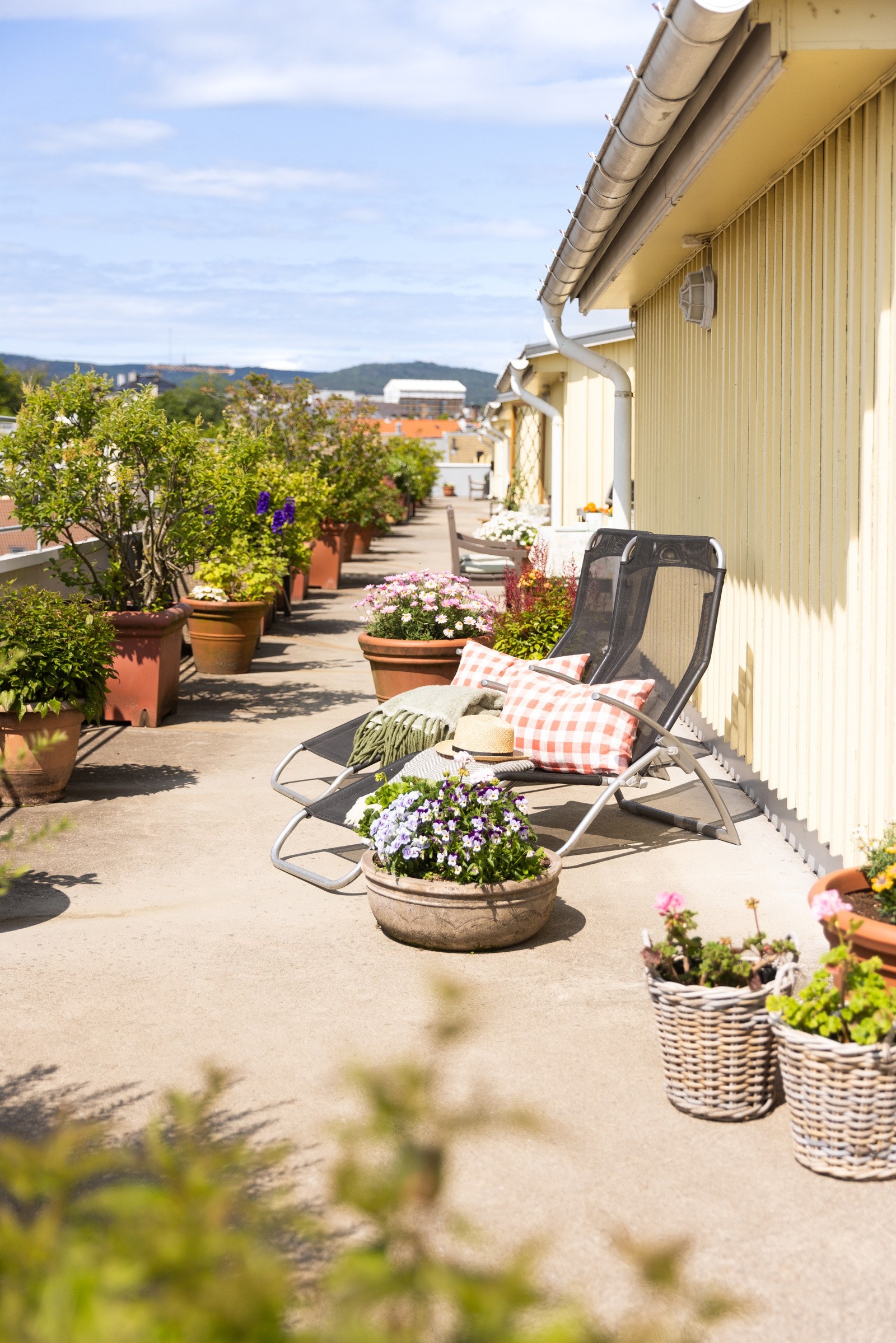 Takterrassen. Galleribilde