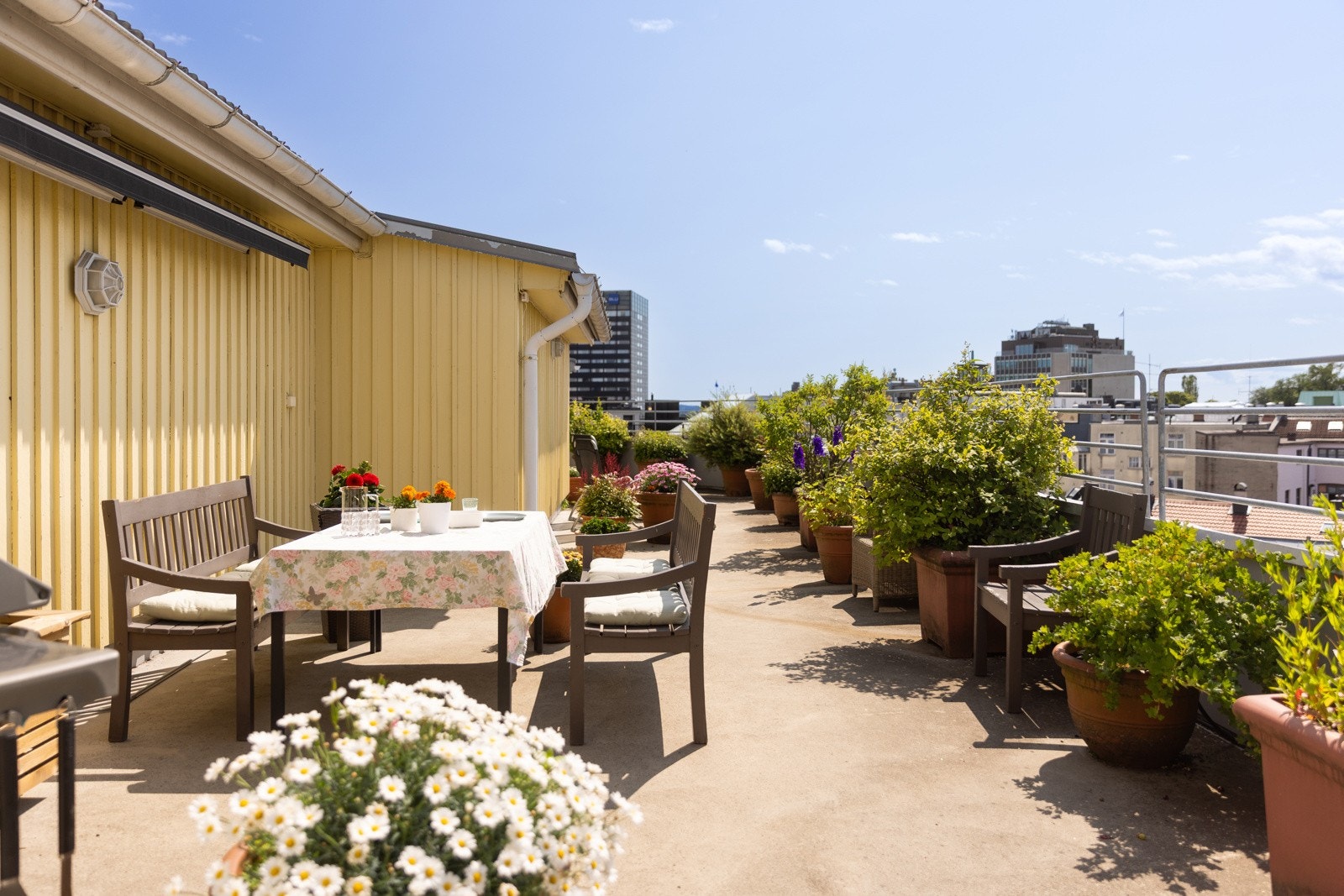 Takterrassen. Galleribilde