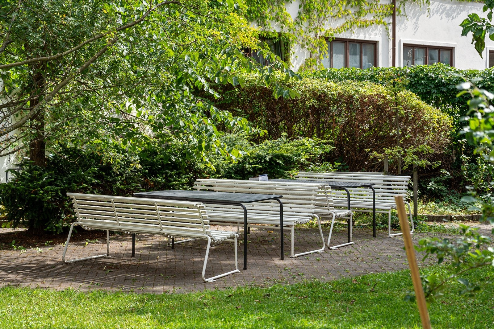 Sameiet har en nydelig felles bakgård med flere sittegrupper, sykkelparkering og frukttrær Galleribilde