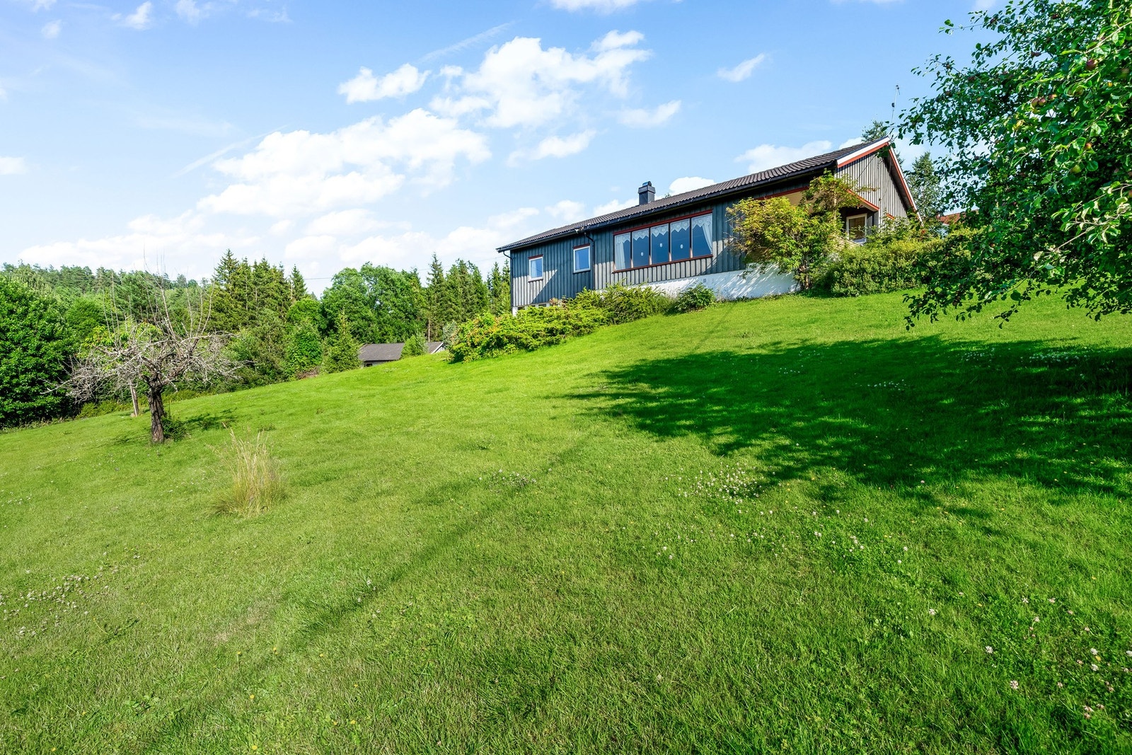 Hagen består av stor plen, frukttre, busker og blomster. Galleribilde