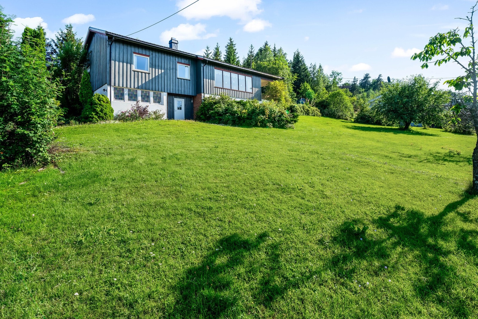 Hagen er full av forskjellige vekster; fine prydblomster og vakre stauder! Galleribilde