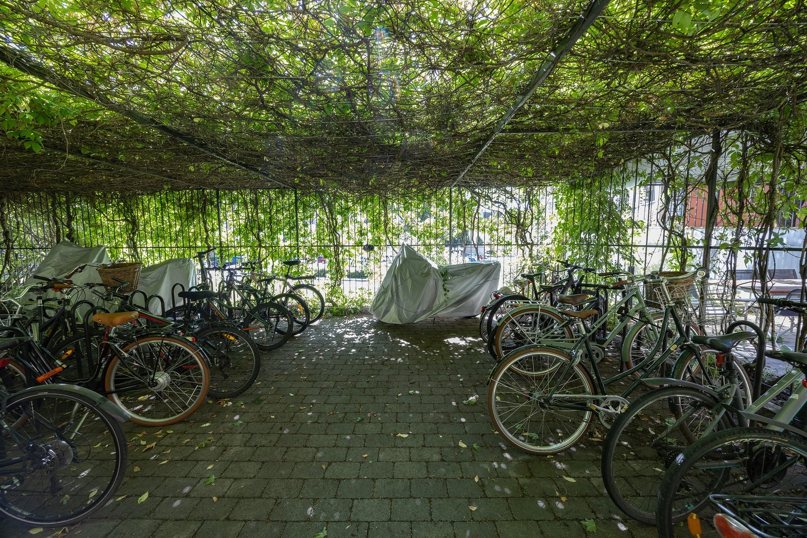 - Felles sykkelparkering i båser - Galleribilde