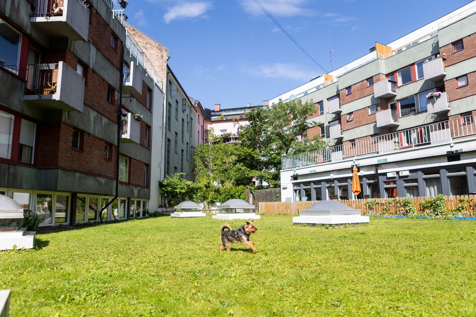 Skjermet og rolig gårdsrom for beboere. Leiligheten ligger i en rolig sidegate med lite trafikk. Galleribilde