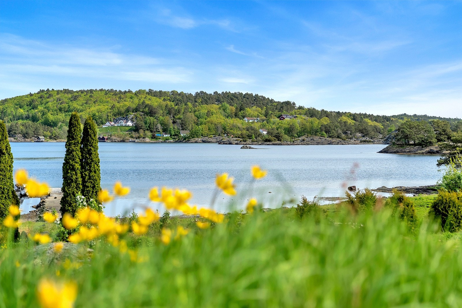 Fantastisk sørlandsnatur Galleribilde