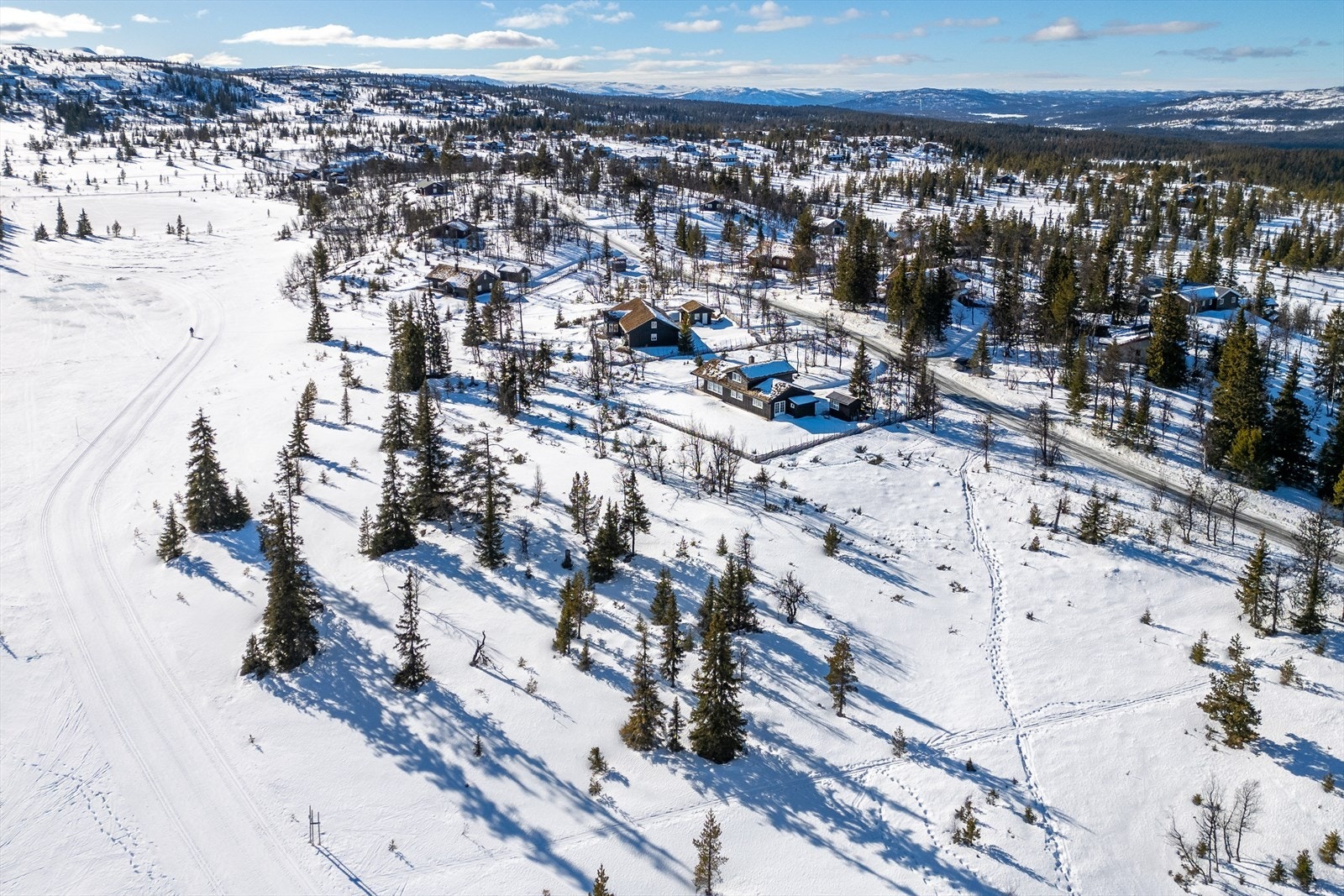Milevis med skiløyper rett utenfor døren Galleribilde