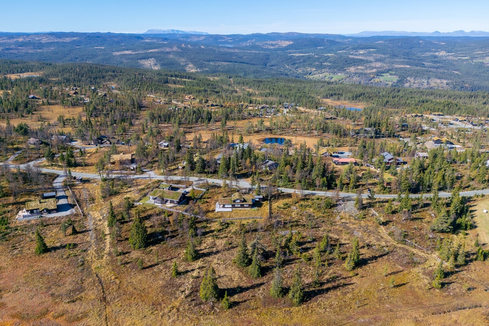 Attraktivt i Nesfjellet Galleribilde