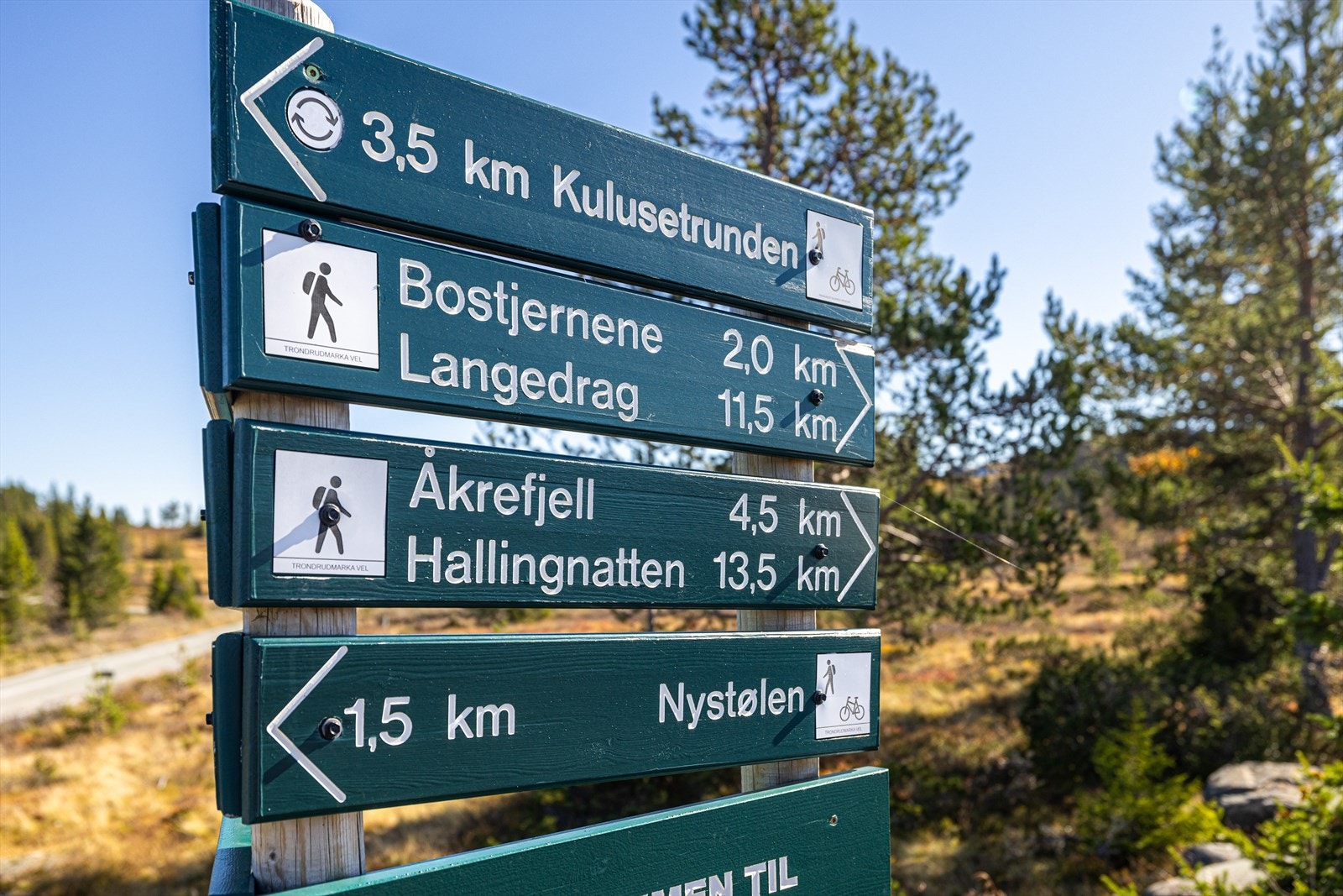 Utallinge mulighet for den friluftsinteresserte Galleribilde