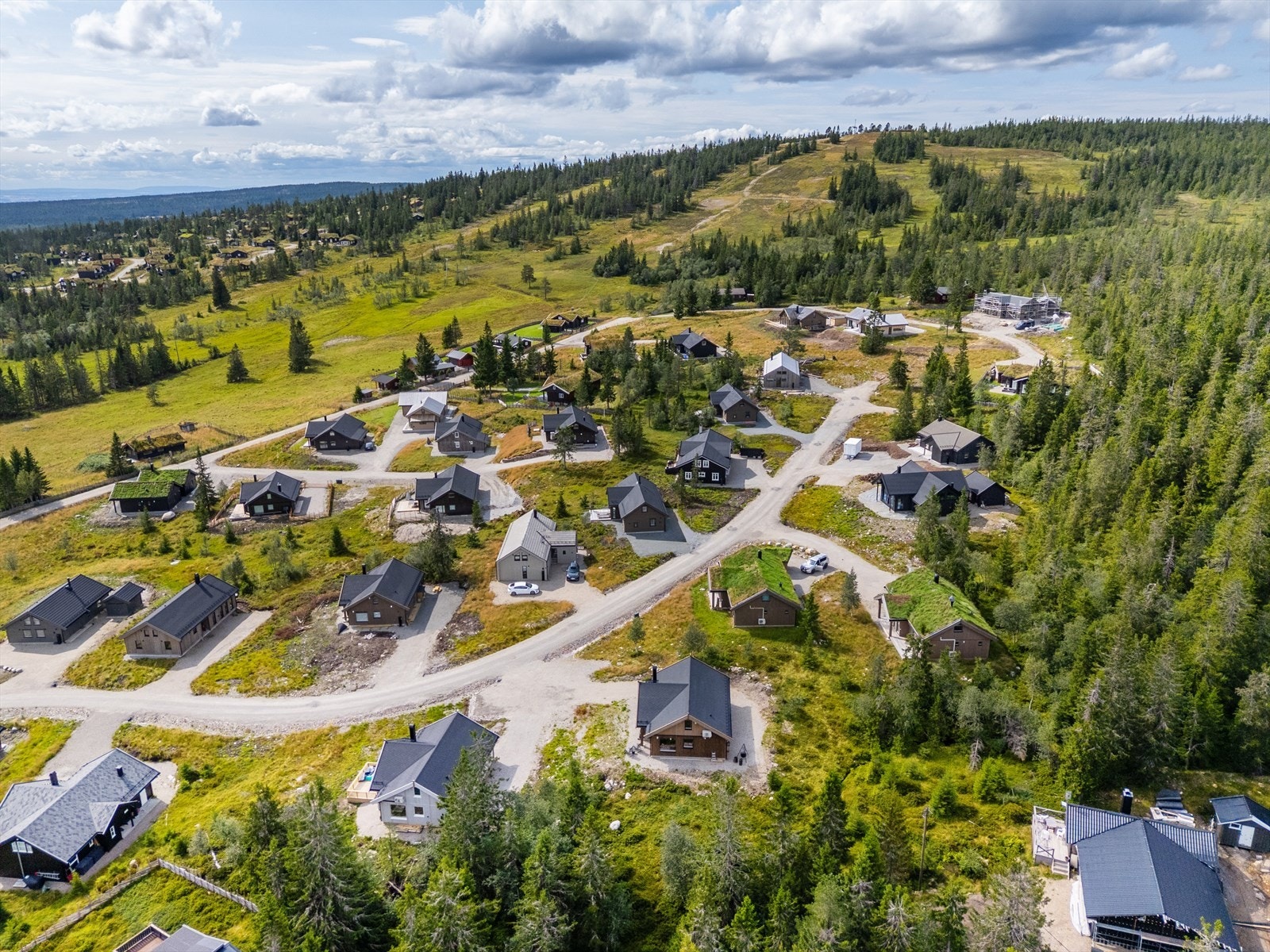 Området byr også på aktiviteter som hundesledekjøring ved Budor Gjestegård, som ligger kun 7 minutters gåtur unna. Galleribilde