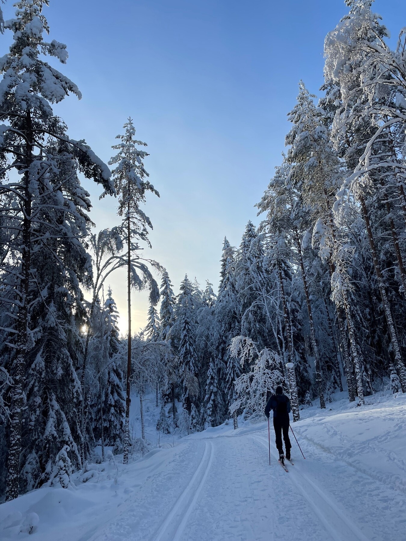 Milevis med preparerte løyper Galleribilde