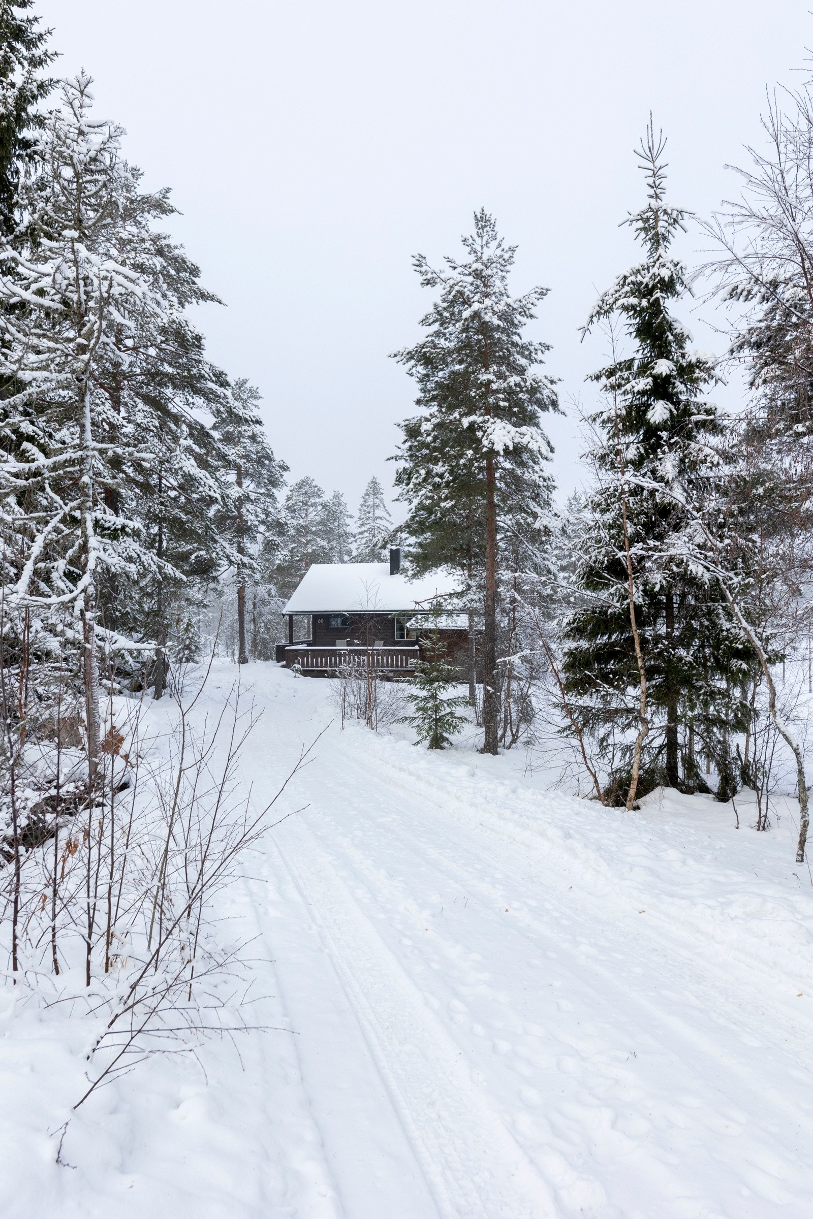 Bilvei helt inn. Galleribilde