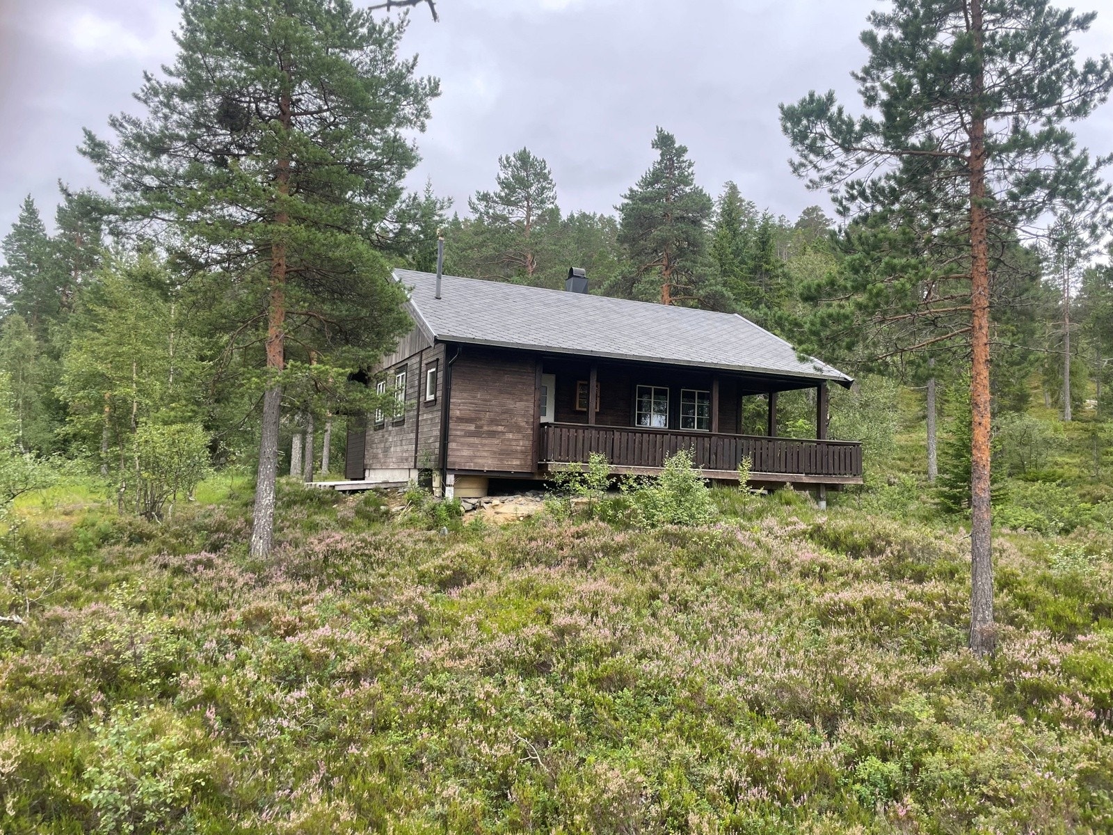 hovedbilde