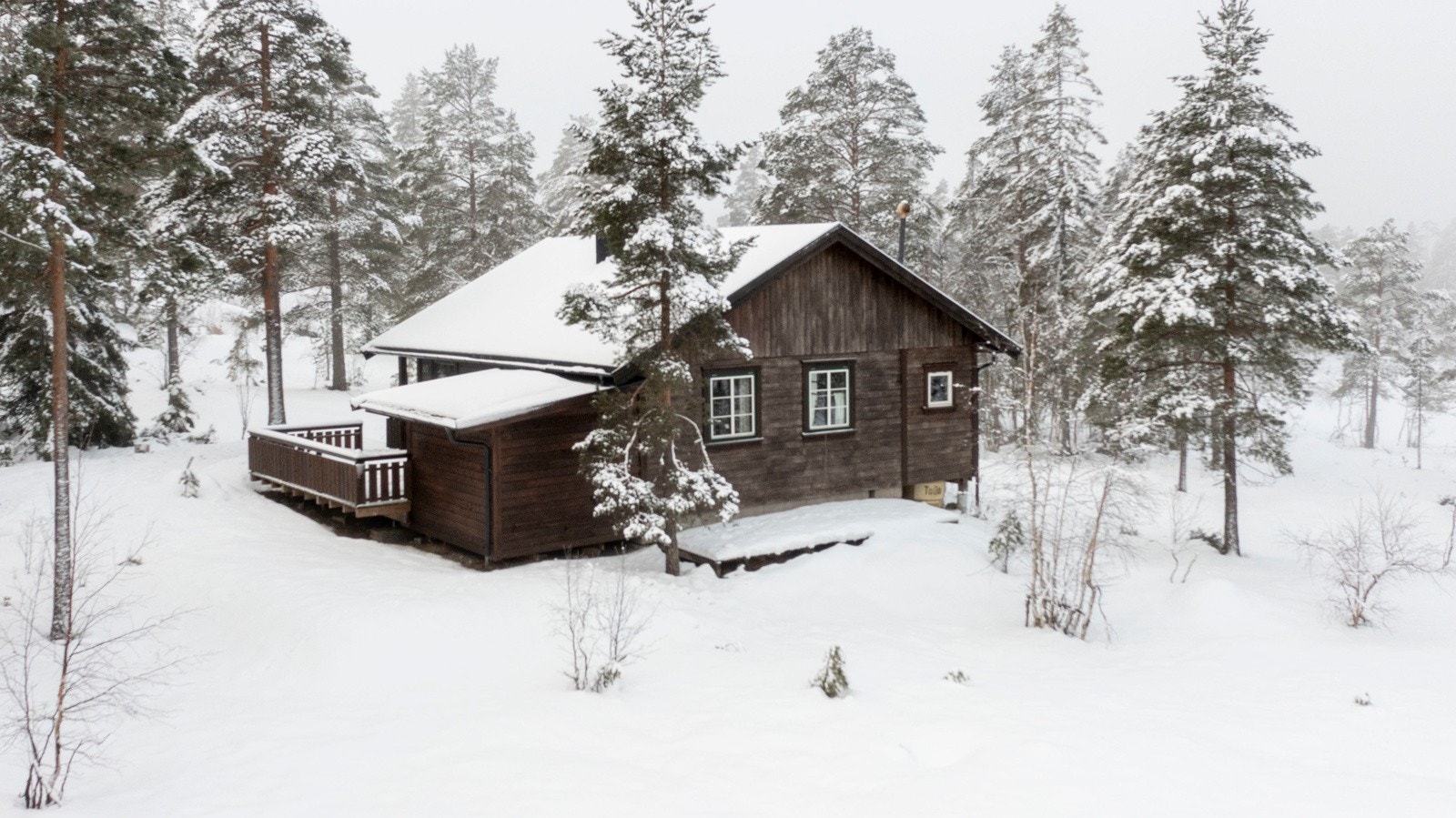 Vei helt frem til hytta Galleribilde