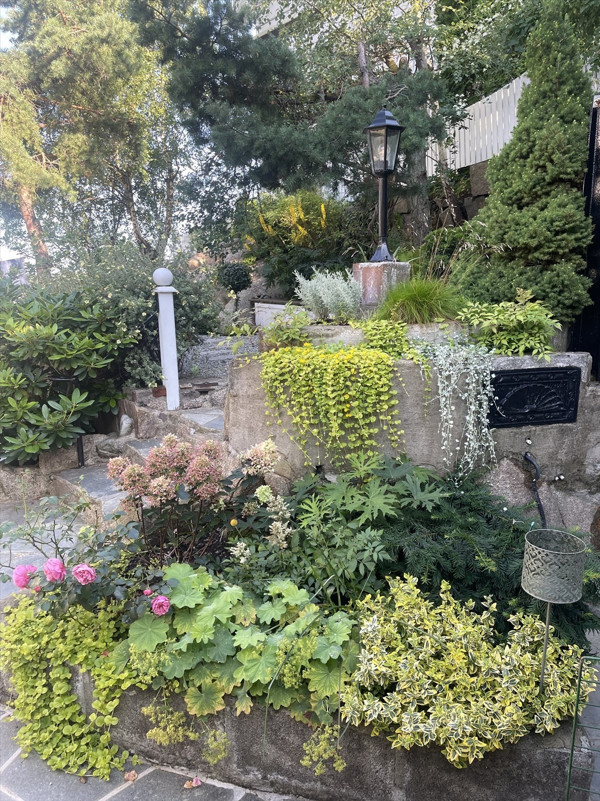 Privatbilde tatt av selger Galleribilde