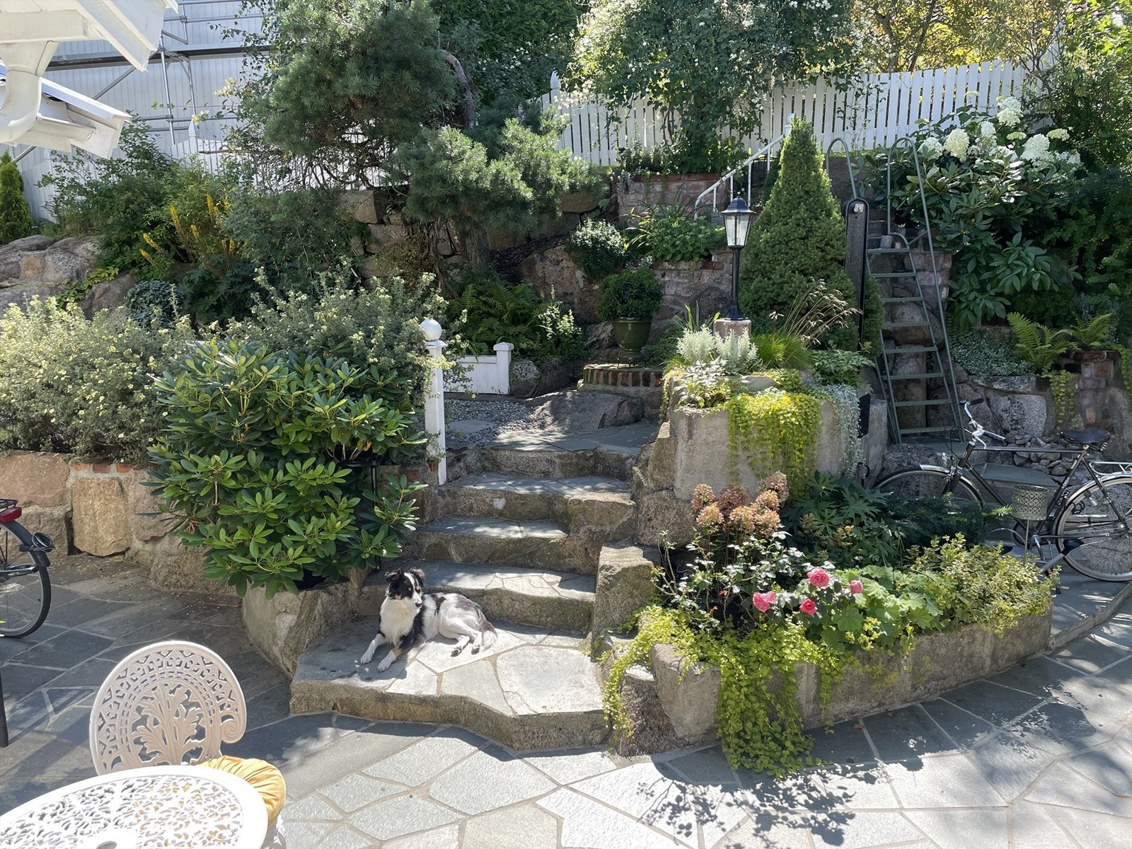 Privatbilde tatt av selger Galleribilde