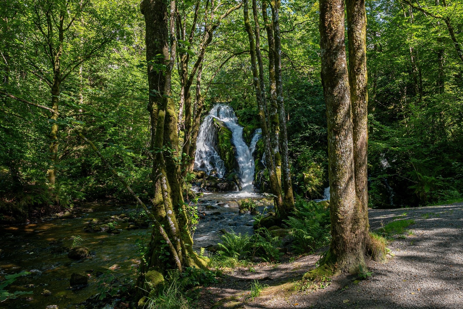 Bilde fra Fana kulturpark. Galleribilde