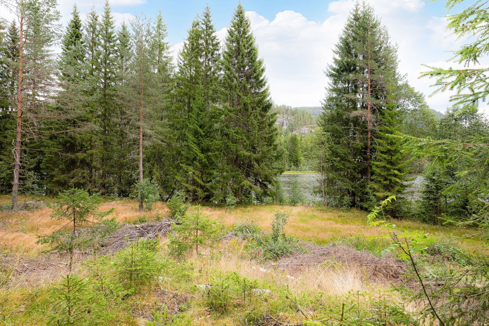 Eiendommen ligger like utenfor Gransherad sentrum, i tillegg er det ca. 14 km til Sauland og ca. 27 km til Notodden. Galleribilde