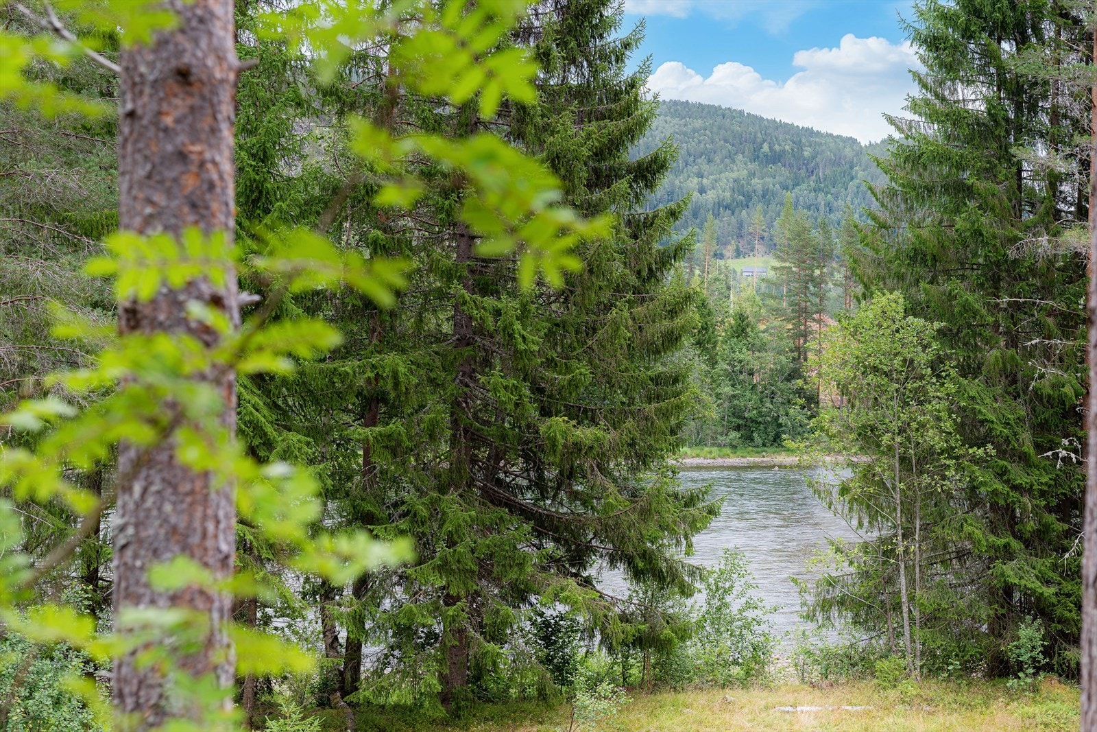 Tinnåa ligger på nedsiden av eiendommen hvor det er muligheter for fiske. Galleribilde