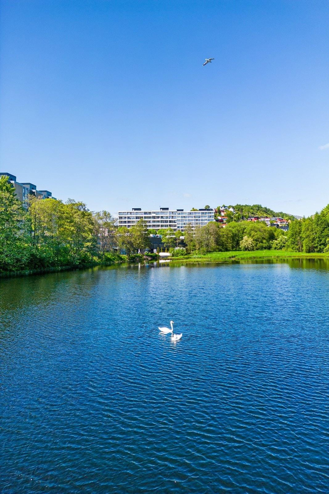 Her bor man i rolige og naturskjønne omgivelser, men likevel i kort avstand til alt av fasiliteter og servicetilbud Galleribilde