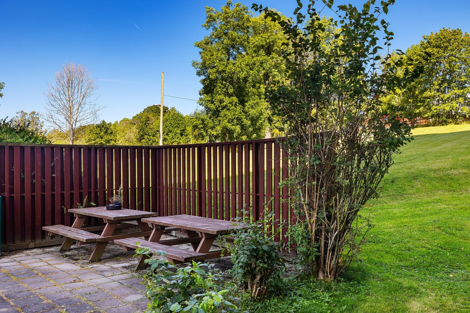 Fellesområde. Galleribilde