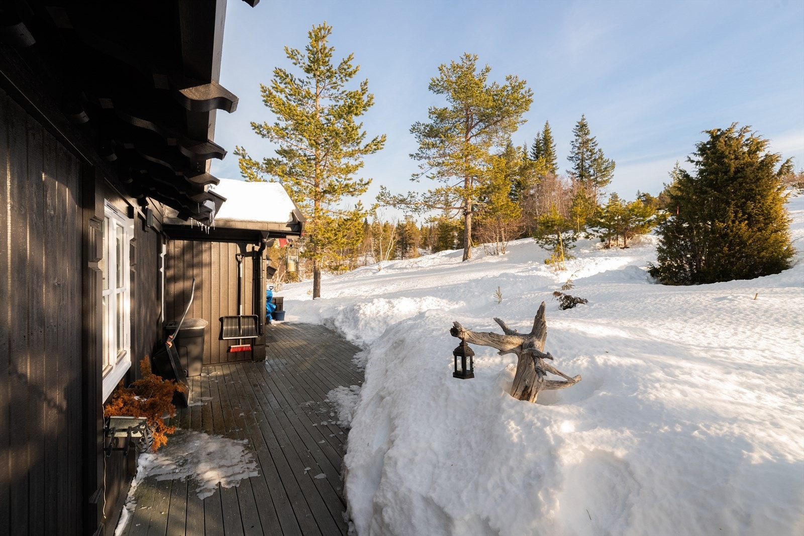 Punktfestet naturtomt beliggende solrikt til, i relativt skrånende terreng. Mulighet for parkering på gruset plass rett i nærheten. Galleribilde