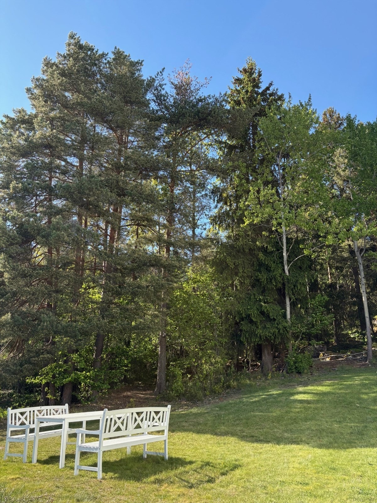 Her finner du også noen sittegrupper hvor man kan nyte finværet og utsikten Galleribilde