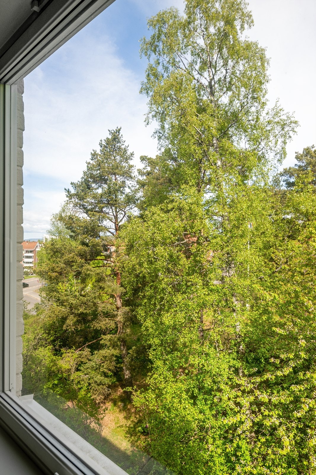 Utsikt mot omkringliggende naturtomt. Galleribilde